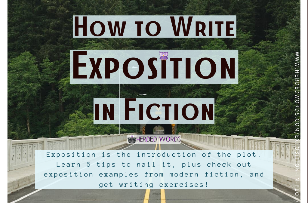 What is Exposition in Plot [& 5 Tips to Nail It]