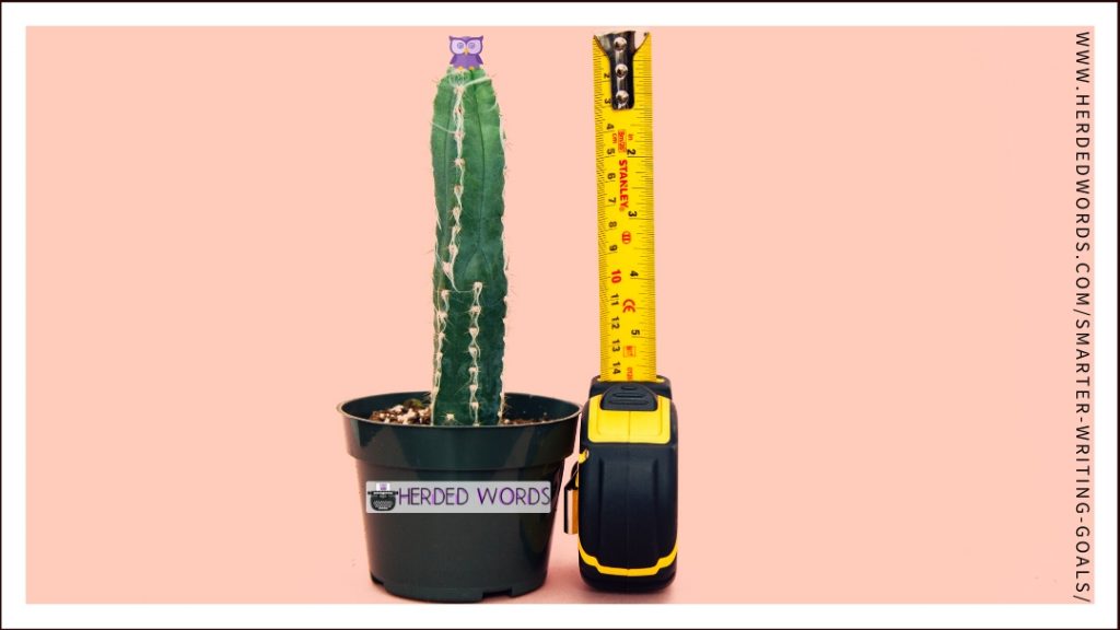 A cactus and a measuring tape