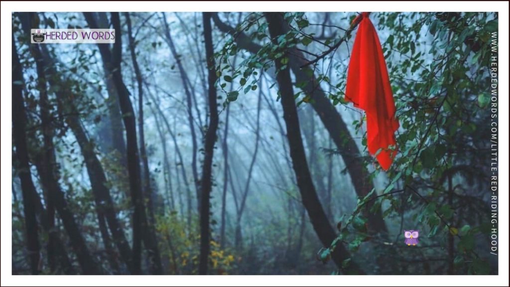 a red cape hanging from a tree in a deserted forest