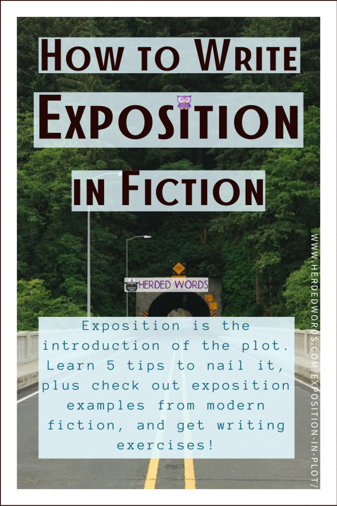 Pin This: How to Write Exposition in Fiction (Exposition is the introduction of the plot. Learn 5 tips to nail it!)