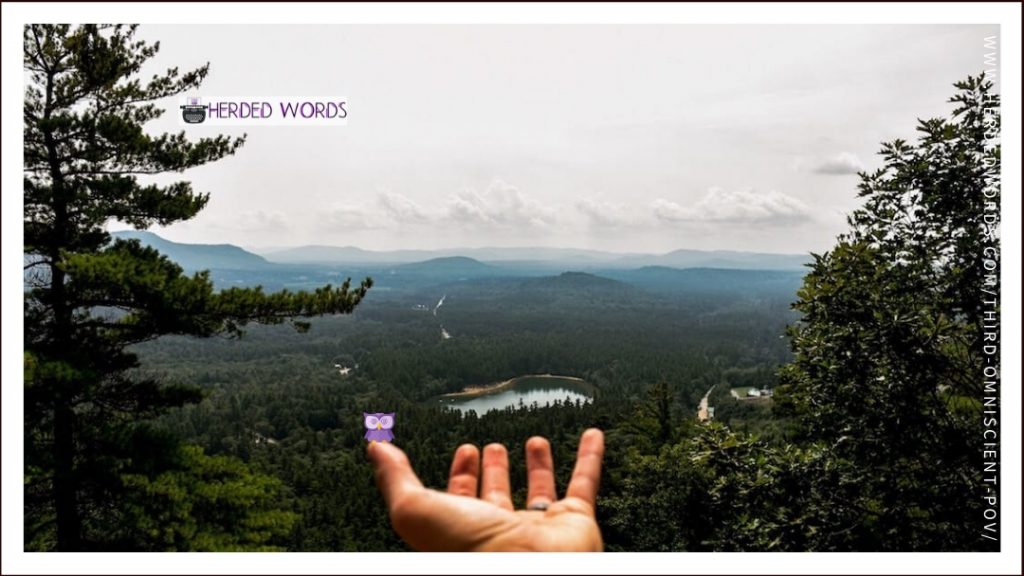 A hand reaching out to a beautiful landscape view