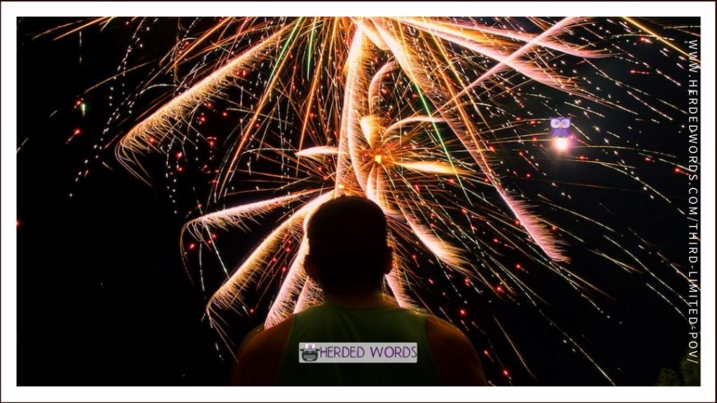 A man staring at fireworks
