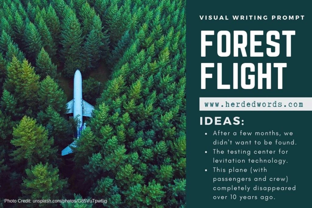 Visual writing prompt: Forest flight (an airplane that has very tall trees grown all around it