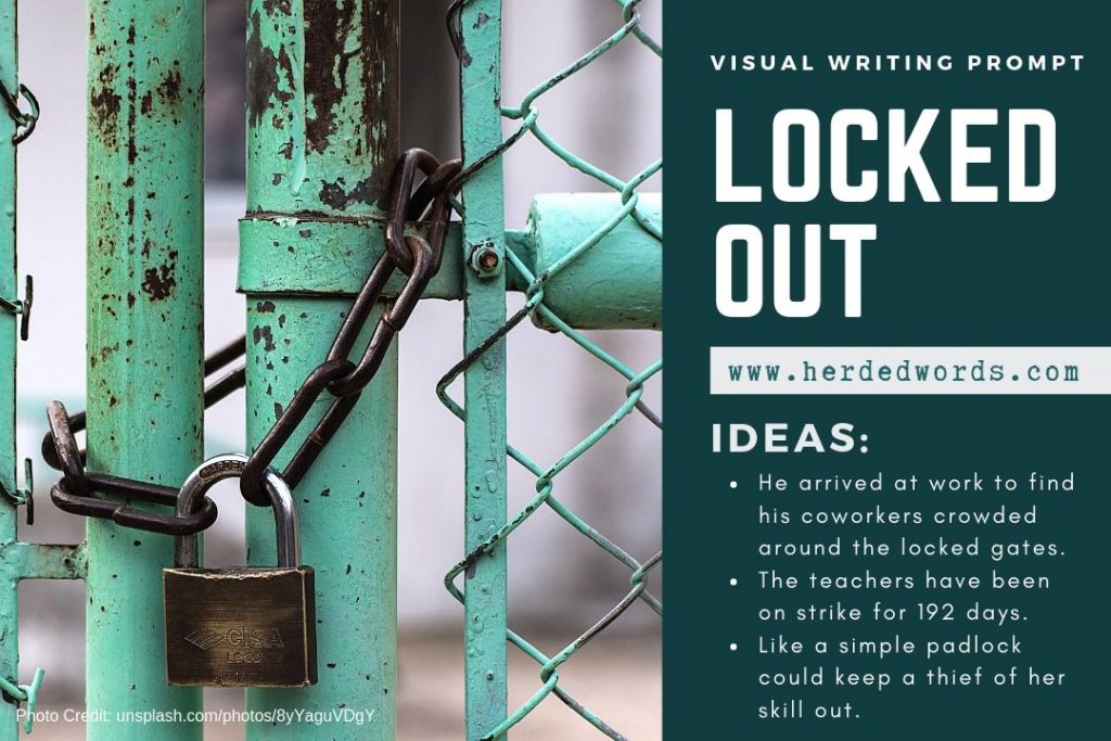 visual writing prompt: LOCKED OUT. A picture of a chain-link fence padlocked.