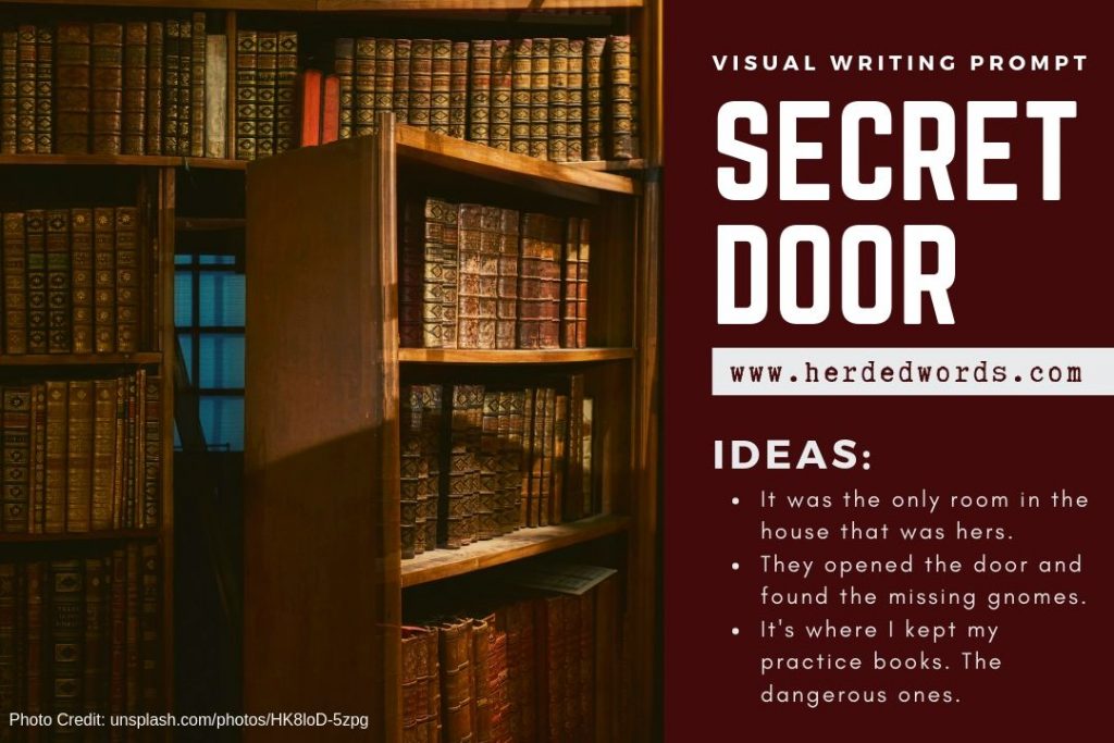 visual writing prompt: SECRET DOOR. A picture of a bookshelf with a secret door opening.