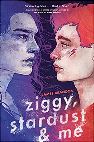 The cover of the novel ZIGGY STARDUST AND ME by James Brandon