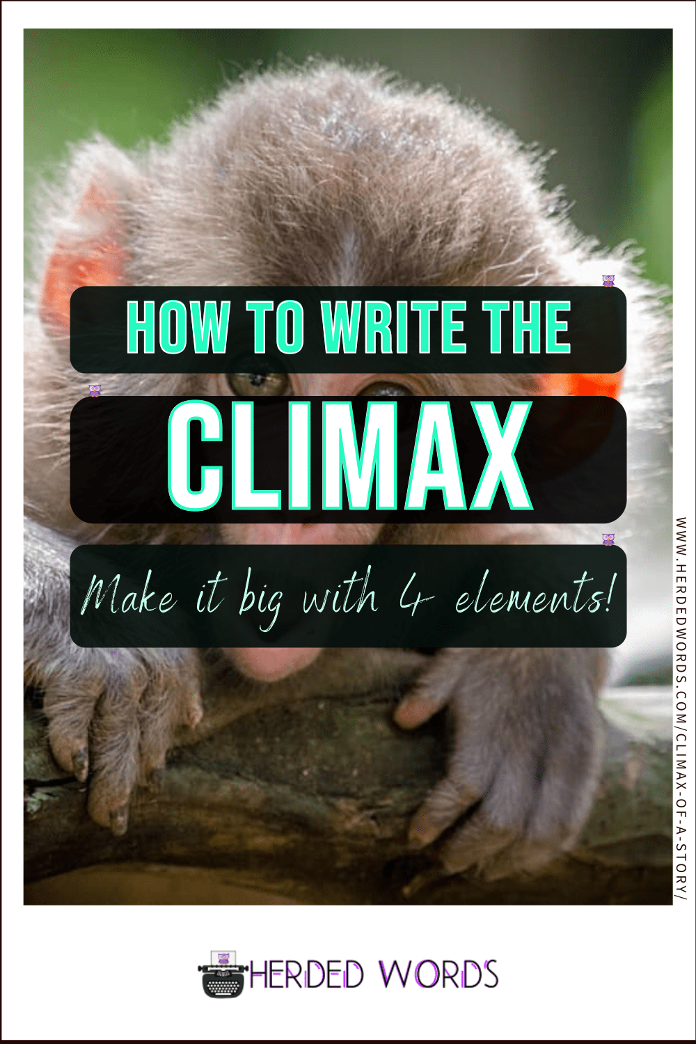 Image link to how to write the climax (make it big with 4 elements)