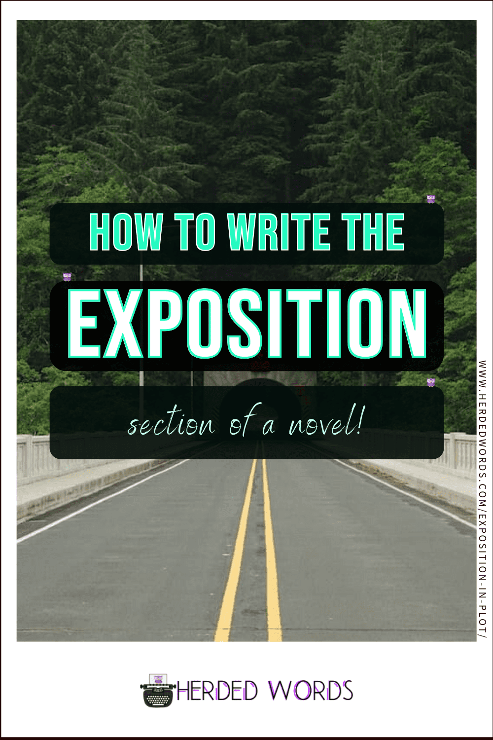 Image link to how to write the exposition section of a novel