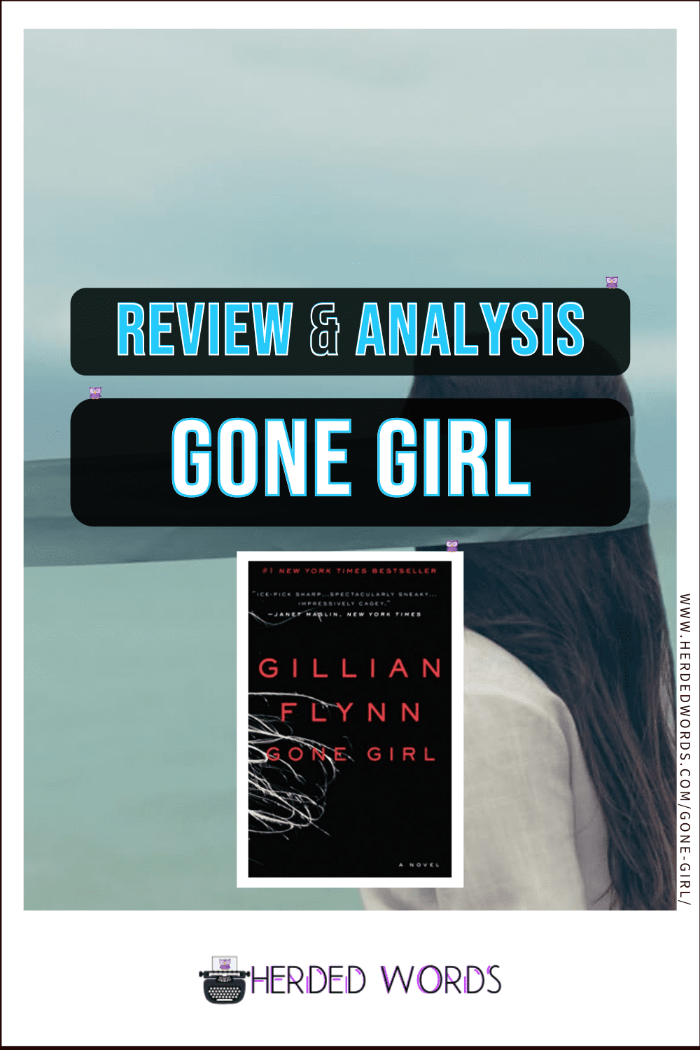 Image Link to Gone Girl Review & Analysis