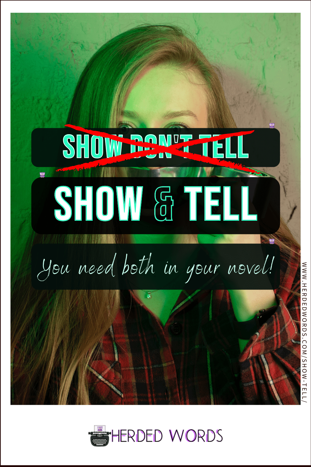 Image link to Show & Tell: why you need both in your novel