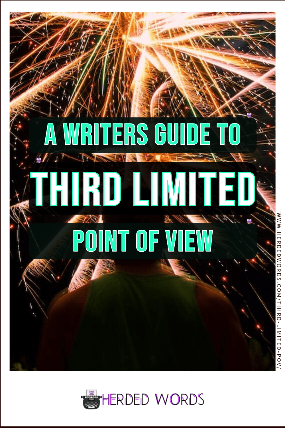 Image link to a writer's guide to Third Limited Point of View